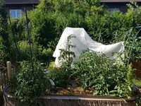 20190724_093646.webp