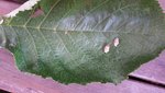 20190722_174401.jpg