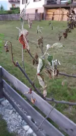 20190724_210333.webp