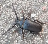 20190724_211040 (2).webp