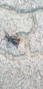 20190724_211141.webp