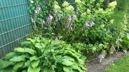 20190721_105902.webp