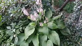 20190721_105722.webp