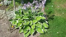 20190721_110304.webp