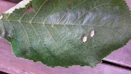20190722_174401.webp