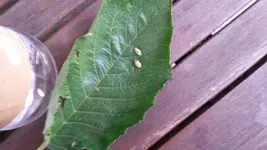 20190722_174452.webp