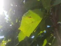 20190725_101034_resized.webp