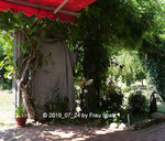 Forum Terrasse Beet Sonnenschutz P1130897.jpg