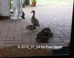 Forum Duckies P1130847.jpg