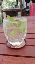 Wasser zitronenverbene.webp