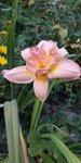 IMG-20190725-WA0007.jpeg