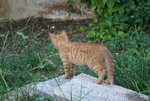 Juli0219.JPG