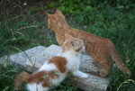 Juli0519.JPG