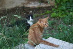 Juli0919.JPG