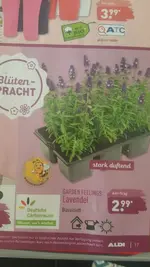 Neue Fragen02_Bildgröße ändern.webp