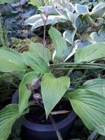 20190726_090613.webp