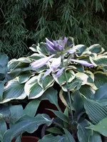 20190726_090913.webp