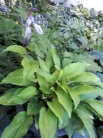 20190726_090539.webp