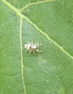 IMG_20190726_125640 - Copy.webp