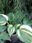 20190726_090931.jpg
