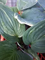 20190723_082912.jpg
