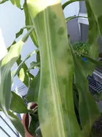20190726_153427.webp