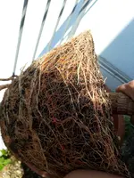 20190726_153606.webp