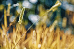 0M3A0944.jpg
