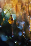 0M3A0823.jpg