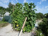 k-DSC01354.webp