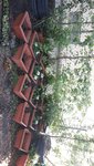 20190716_171108_resize_48_resize_58.jpg
