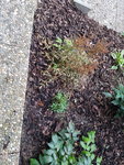 20190726_205819.jpg