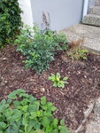 20190726_205909.jpg