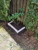 20190717_132424.webp