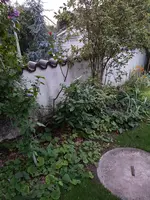 20190726_212240.webp