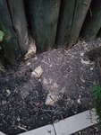 20190726_212335.jpg
