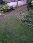 20190726_212221.jpg