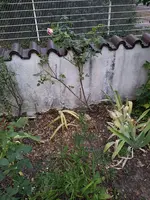 20190726_212256.webp