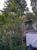 20190726_212209.webp