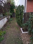 20190726_212319.jpg