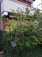 20190726_212314.jpg