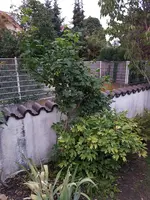 20190726_212300.webp