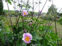 DSC00548.JPG