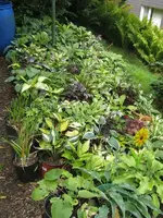 002_600x800.webp