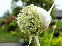 DSCF2635 (2).webp
