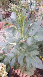 20190726_184745.webp