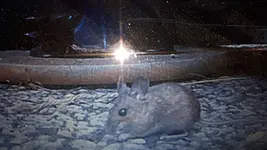 20190727_094733.webp
