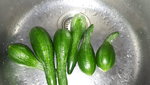 20190726_111835.jpg
