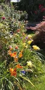 IMG-20190727-WA0000.webp