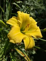 IMG_20190727_115417.jpg